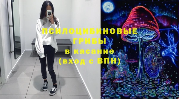 таблы Ельня